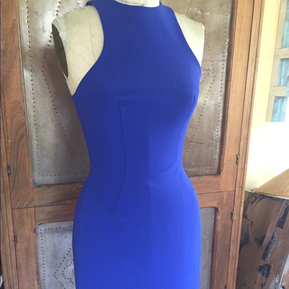 ***NWT Alexander Wang sexy bodycon dress